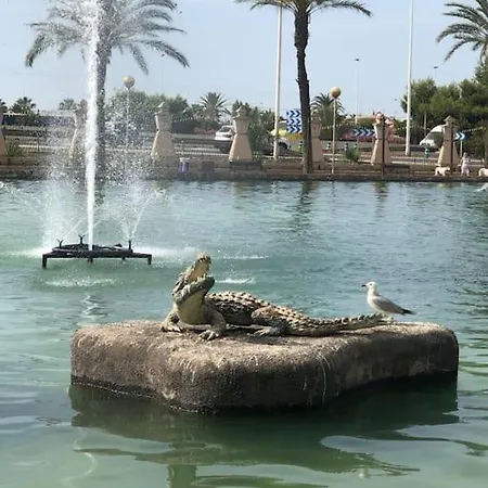 Near The Park * Torrevieja